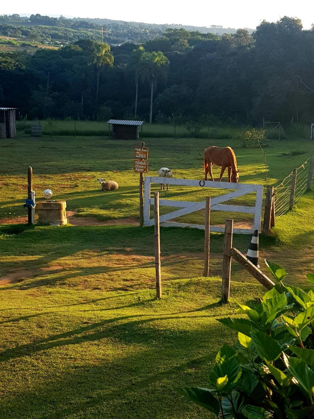 Pousada Sitio Da Terra E Arte Sao Roque  Ngoại thất bức ảnh
